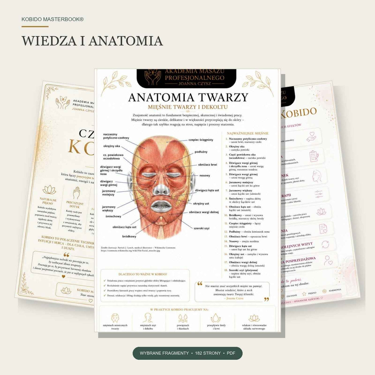Fragment KOBIDO Masterbooka – anatomia mięśni twarzy i dekoltu